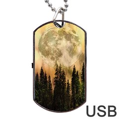 Moon Nature Forest Pine Trees Sky Full Moon Night Dog Tag Usb Flash (two Sides) by danenraven