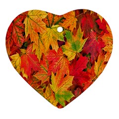 Autumn Background Maple Leaves Ornament (heart) by artworkshop