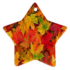 Autumn Background Maple Leaves Ornament (star) by artworkshop