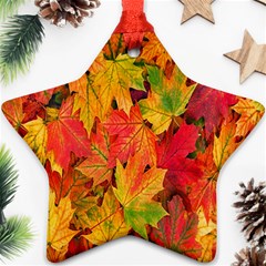 Autumn Background Maple Leaves Ornament (star)