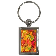 Autumn Background Maple Leaves Key Chain (rectangle) by artworkshop