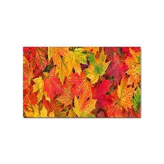 Autumn Background Maple Leaves Sticker (rectangular) by artworkshop