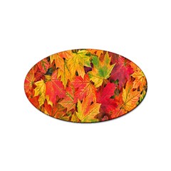 Autumn Background Maple Leaves Sticker (oval) by artworkshop