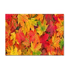 Autumn Background Maple Leaves Sticker A4 (10 Pack) by artworkshop