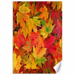 Autumn Background Maple Leaves Canvas 12  X 18  by artworkshop