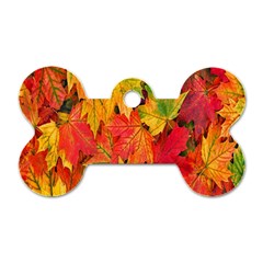 Autumn Background Maple Leaves Dog Tag Bone (one Side) by artworkshop