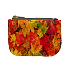 Autumn Background Maple Leaves Mini Coin Purse by artworkshop