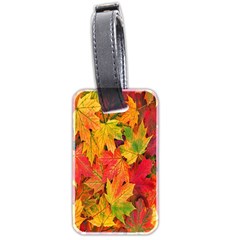 Autumn Background Maple Leaves Luggage Tag (two Sides) by artworkshop