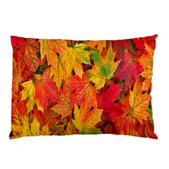 Autumn Background Maple Leaves Pillow Case (two Sides) by artworkshop