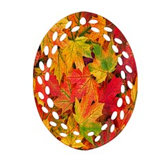 Autumn Background Maple Leaves Ornament (oval Filigree) by artworkshop