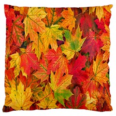 Autumn Background Maple Leaves Large Cushion Case (two Sides) by artworkshop