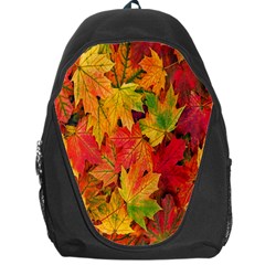 Autumn Background Maple Leaves Backpack Bag by artworkshop