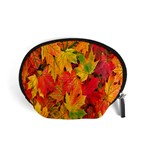 Autumn Background Maple Leaves Accessory Pouch (Small) Front