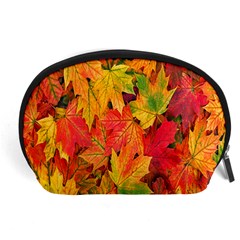 Autumn Background Maple Leaves Accessory Pouch (large) by artworkshop