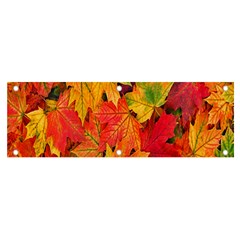 Autumn Background Maple Leaves Banner And Sign 6  X 2  by artworkshop