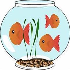 Fishbowl Fish Goldfish Water Play Mat (rectangle) by artworkshop