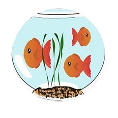 Fishbowl Fish Goldfish Water Mini Round Pill Box (pack Of 5) by artworkshop