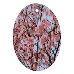 Japanese Sakura Background Ornament (oval) by artworkshop