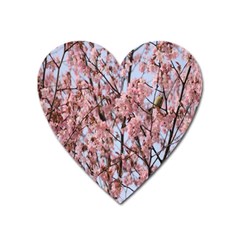 Japanese Sakura Background Heart Magnet by artworkshop