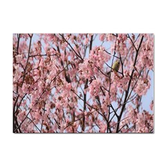 Japanese Sakura Background Sticker A4 (10 Pack) by artworkshop