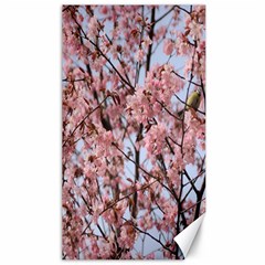 Japanese Sakura Background Canvas 40  X 72 