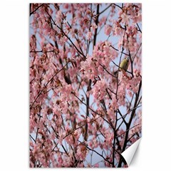 Japanese Sakura Background Canvas 12  X 18  by artworkshop