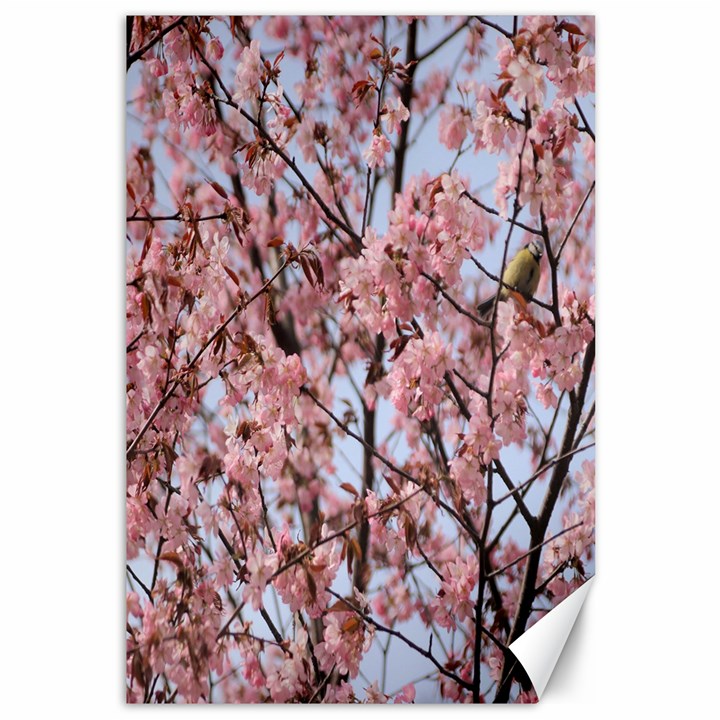 Japanese Sakura Background Canvas 12  x 18 