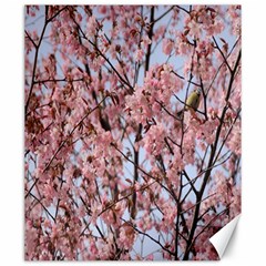 Japanese Sakura Background Canvas 20  X 24  by artworkshop