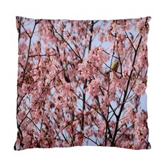 Japanese Sakura Background Standard Cushion Case (one Side) by artworkshop