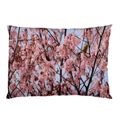 Japanese Sakura Background Pillow Case (two Sides) by artworkshop