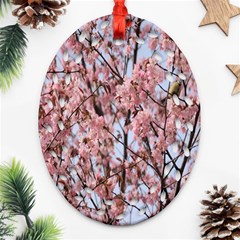 Japanese Sakura Background Ornament (oval Filigree) by artworkshop