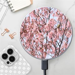 Japanese Sakura Background Wireless Charger by artworkshop