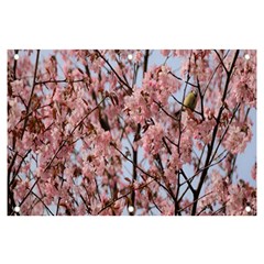 Japanese Sakura Background Banner And Sign 6  X 4  by artworkshop