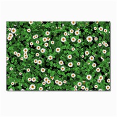 Daisies Clovers Lawn Digital Drawing Background Postcard 4 x 6  (pkg Of 10)