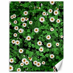 Daisies Clovers Lawn Digital Drawing Background Canvas 12  X 16  by Ravend