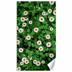 Daisies Clovers Lawn Digital Drawing Background Canvas 40  X 72  by Ravend