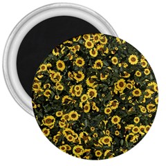 Sunflowers Yellow Flowers Flowers Digital Drawing 3  Magnets by Ravend