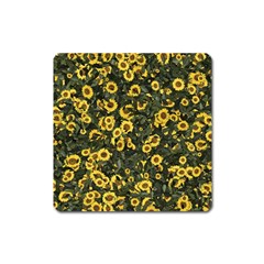 Sunflowers Yellow Flowers Flowers Digital Drawing Square Magnet by Ravend