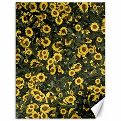 Sunflowers Yellow Flowers Flowers Digital Drawing Canvas 12  X 16 