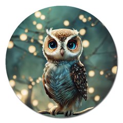 Owl Bird Bird Of Prey Ornithology Animal Magnet 5  (round) by Pakemis