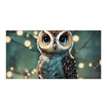 Owl Bird Bird Of Prey Ornithology Animal Satin Wrap 35  x 70  Front