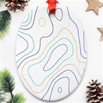 Abstract Colorful Topographic Map Design Vector Ornament (Oval) Front