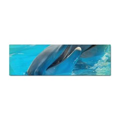 Beautiful Dolphins Sticker Bumper (100 Pack) by Sparkle