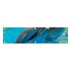 Beautiful Dolphins Banner And Sign 4  X 1  by Sparkle