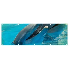 Beautiful Dolphins Banner And Sign 12  X 4  by Sparkle