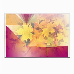 Colorful Nature Postcards 5  X 7  (pkg Of 10)