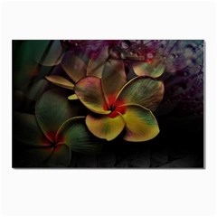 Beautiful Floral Postcards 5  X 7  (pkg Of 10)