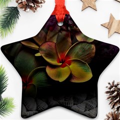 Beautiful Floral Star Ornament (two Sides) by Sparkle