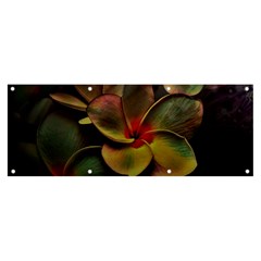 Beautiful Floral Banner And Sign 8  X 3  by Sparkle