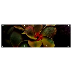 Beautiful Floral Banner And Sign 9  X 3  by Sparkle